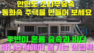 [매물1391]태안안면도 바다인근, 삼림욕 가능한 안면소나무 숲속에 둘러쌓인 나만의 공간속 튼튼한 주택,진정한 힐링을 원하신다면 바로 이곳[태안서산 부동산전문 현대공인중개사사무소]