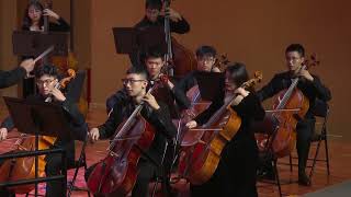 Symphony No. 40 in G minor, K. 550 by Wenqin Symphony Orchestra