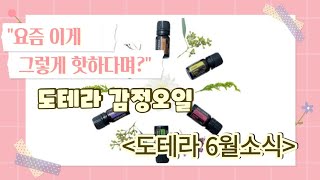 [ doterra l 2022년 6월 도테라 프로모션 ] 뭐가 이리 많나요? (이지에어터치, 이모셔널아로마테라피시스템, 야로우폼, 로즈자스민프로모션)