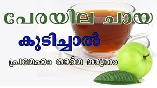 പേരയില ചായ കുടിച്ചാല്‍ പ്രമേഹം ഓര്‍മ മാത്രം /Malayalam Health Tips