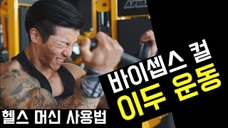 바이셉스컬 머신 사용법 [이두 운동 팔] 암컬 머신 완전 정복