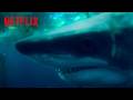 Sophia Confronts a Shark | Under Paris | Netflix