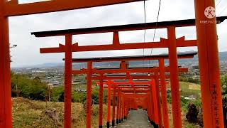 浮羽稲荷神社　〜うきはのインスタ映えスポット〜