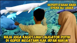 NAJA MAIN KE MEGATANK KAK IRFAN HAKIM KETEMU BUAYA PUTIH