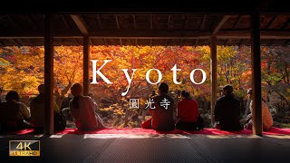 【 Kyoto trip 4K 60p】京都  圓光寺の紅葉 /Kyoto Enkouji Temple