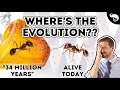 Evolutionary Biologist Reacts to Creationist Arguments