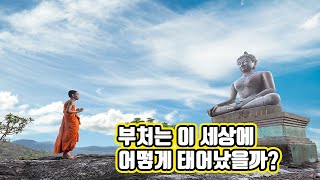 부처는 왜 겨드랑이로 태어났나? (싯다르타 ,부처의탄생,석가모니,불교)