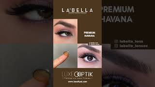 Labella Lens Türkiye Distribütörü | Labella Havana #lens #lenses #labella #havana #brown #premium