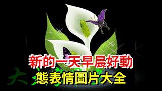 新的一天早晨好動態表情圖片大全