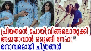 പ്രിയതമന്‍ പോയി;വിങ്ങലൊതുക്കി അമ്മയാവാന്‍ ഒരുങ്ങി നേഹ;നൊമ്പരമായി ചിത്രങ്ങള്‍