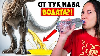 11 Изумителни Факта за ВОДАТА