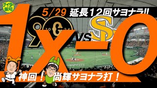 【神回】延長１２回　尚輝サヨナラ打！　４時間２９分死闘に勝ったーーー！【ナイター報知】