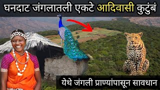 घनदाट जंगलात खडतर आयुष्य जगत राहणारे एकमेव घर🛖🌳सोबतीला वन्यप्राणी👫आदिवासी बांधव