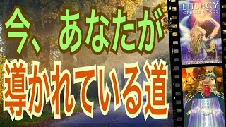 今、あなたが導かれている道🌈怖いほど当たる✨オラクルカードリーディング✨スピリチュアルカードリーディング✨占い✨３択✨