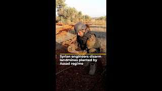 Syrian engineers disarm landmines planted by Assad regime | AJ#shorts