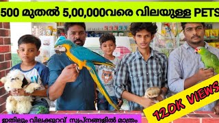 കൊച്ചിയിൽ എന്തുണ്ട് വിശേഷം..? ( EP-12 ) ONE OF THE BEST PETSHOP IN KOCHI | PETS CARNIVAL