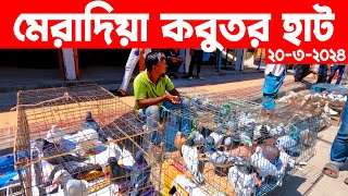 মেরাদিয়া কবুতর হাট ২০-৩-২০২৪ | kobutor hat 2024 | pigeon market in bangladesh | meradiya kobutor hat