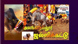 #cithiraitv #Alanganallur Jallikattu 2022 Re_telecost: #அலங்காநல்லூர் ஜல்லிக்கட்டு மறு ஒளிபரப்பு |