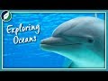 Exploring Oceans | Compilation