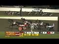 meadowlands june 19 2015 race 9 b yoyo