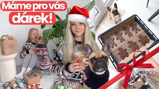 VLOGMAS | Mám pro vás dárek! 🎅🏻 Jaké jsou vánoce u nás? 🎄