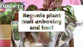 Begonia Plant Mail, Unboxing and Plant Haul | Dibleys Nursery