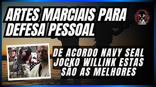 TOP 4 ARTES MARCIAIS PARA DEFESA PESSOAL DE ACORDO NAVY SEAL JOCKO WILLINK ESTAS SÃO AS MELHORES