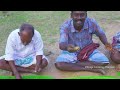 shark fishes tiny shark fish recipe cooking in village sura meen kulambu shark fish recipes