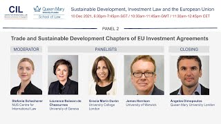 Sustainable Development, Investment Law and the European Union | Panel 2