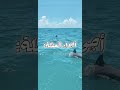 فكر@تي غير كذا والله ما اسامح مالي_خلق_احط_هاشتاقات edit اصوله roblox احم warriorcats اصو