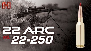 22 Arc Vs 22 250