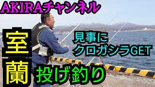 【北海道】室蘭で投げ釣り　見事にクロガシラＧＥＴ