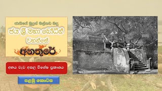 මහා බෝධි අනතුරේ - පුජා භුමිය අවට සංඥා ප්‍රභලයි | 2023 නවම් 4 දින