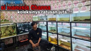 Grebek koleksi channa milik fajar arief || part 1