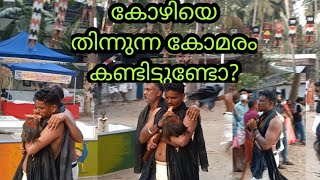 വാഴവളപ്പിൽ ഭഗവതി temple @കാലിക്കറ്റ്‌ 2022