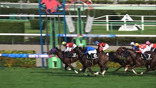 【現地】2024 セプテンバーステークスウインモナーク 松岡 正海【中山競馬場】