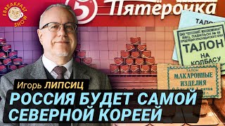 Игорь Липсиц: РФ пытается изобрести новый вид экономики