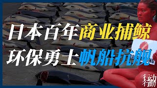 环保行动 | 血腥爆鲸，日本在海洋的40年欺瞒