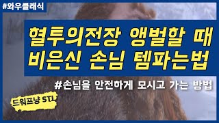 혈투의전장 사냥꾼 앵벌 공물템 팔 때 은신아닌클래스(비은신) 공물까지 안전하게 데려가는 방법