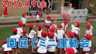 八幡保育園(福井市）園庭でミニ運動会2016開催！本番の雰囲気を感じながら異年齢児で楽しく競技を体験！