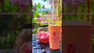 【今日のハワイ】Hawaii Today 朝のコーヒーでひと休み時間、こちらの店員さんはとっても感じ良くてAlohaを感じるのよ🥰#ハワイ