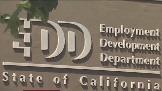 California's EDD director announces resignation, governor to swear in successor Tuesday