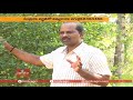 నిమ్మ కాయ పగుళ్లకు తీసుకోవాల్సిన జాగ్రత్తలు natural farming hmtv