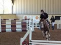 bon balou stallion 70 day test stadium jumping finals