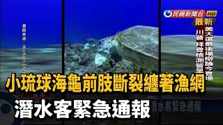 小琉球海龜前肢斷裂纏著漁網 潛水客緊急通報－民視新聞