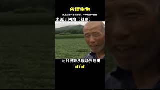 黑龍江山村驚現兇猛生物，一掌拍斷牛脊骨，母牛當場發狂和它拼命