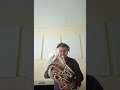 euphonium miraphone party pièce introduzione