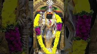 #முருகா #நீயே துணை#murugan thunai #thiruchendur #muruganarulvakku