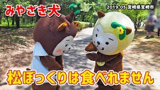 【みやざき犬】食べれません！：ひぃ＆むぅワチャワチャ (201905宮崎県宮崎市)