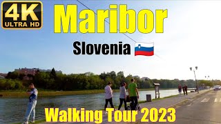 Maribor Slovenia 🇸🇮 2023 Beautiful Walking Tour 4k 60FPS #maribor #slovenia #2023